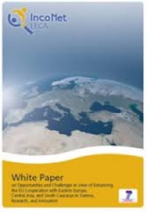 Reflections on the White Paper